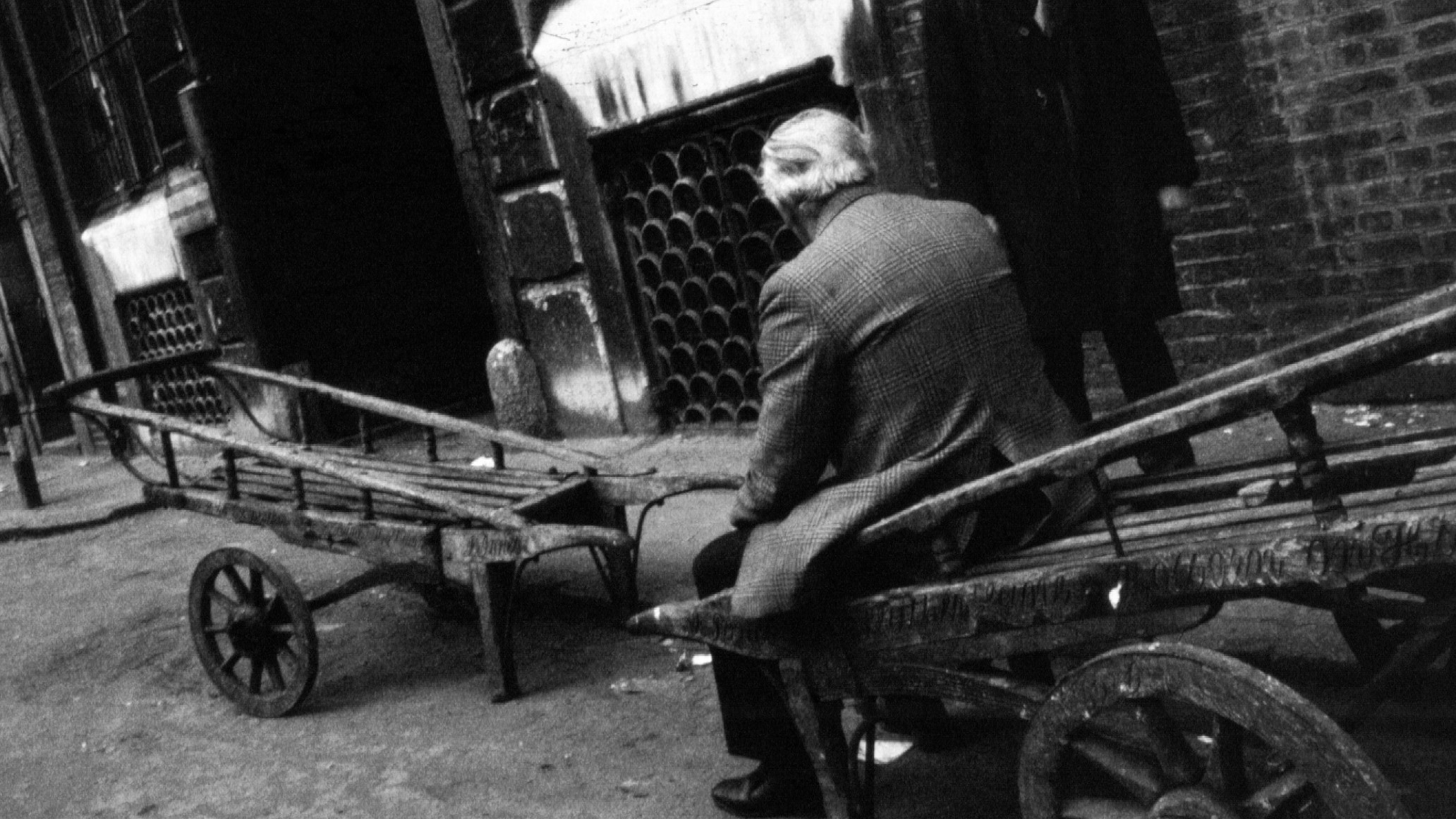 Side profile portrait of a woman
